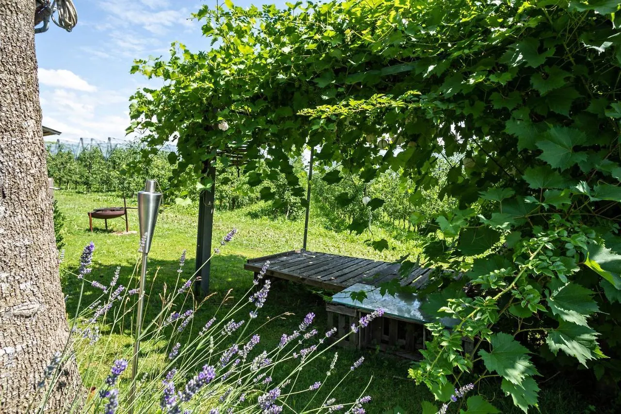 شقة La Casa Nel Verde لينداو ألمانيا